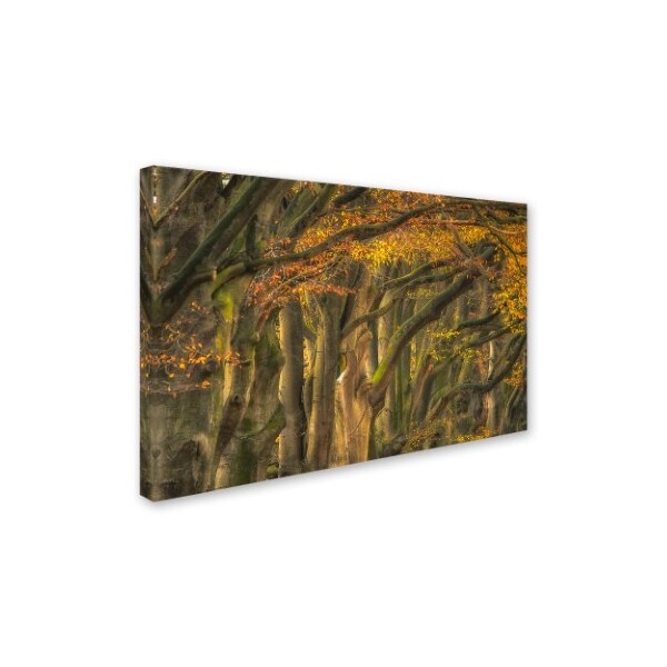 Piet Haaksma 'Approve Autumn ' Canvas Art,16x24